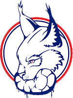 SG Dunningen/Schramberg